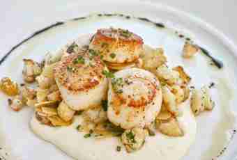 What is scallops