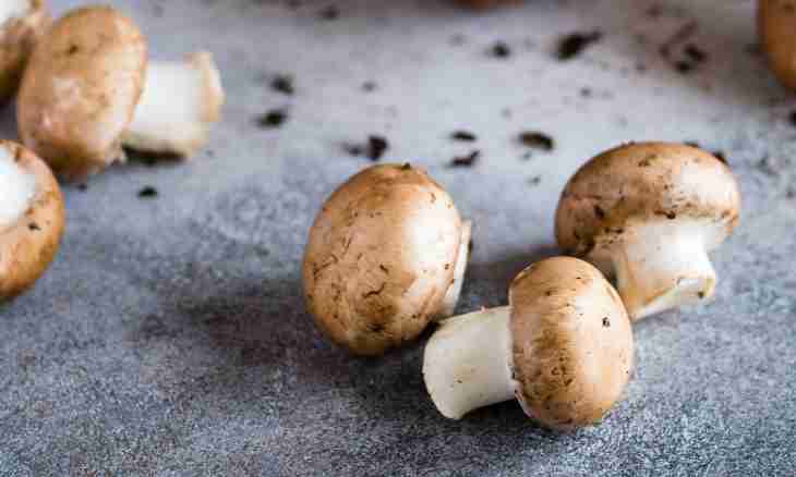 How to clean mushrooms quickly