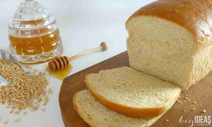 Than airy wheat with honey is useful