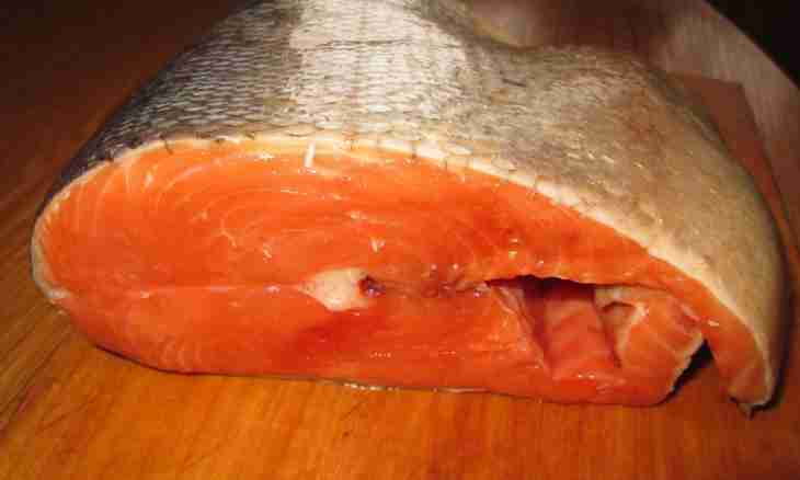 How to store a salty trout