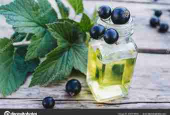 Useful and medicinal properties of blackcurrant