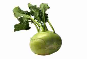 Useful properties of cabbage of a kohlrabi