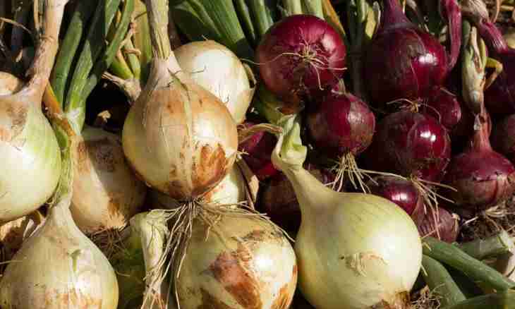 All about onions as vegetable