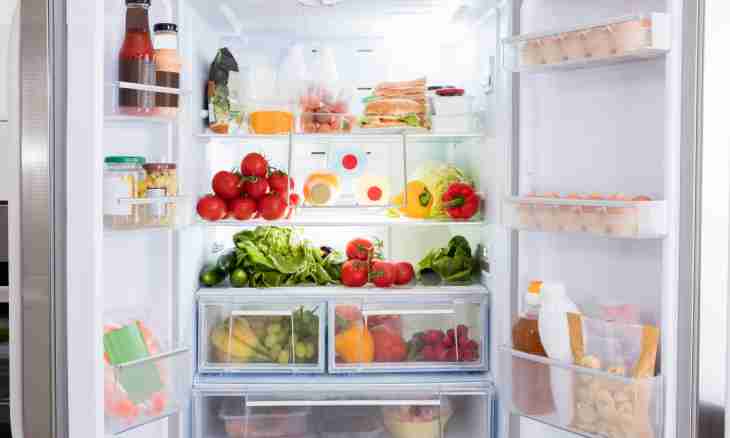 Storage of products in the fridge. What can't be stored?