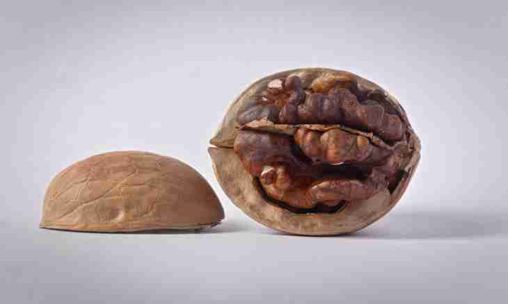 How to store the peeled walnuts