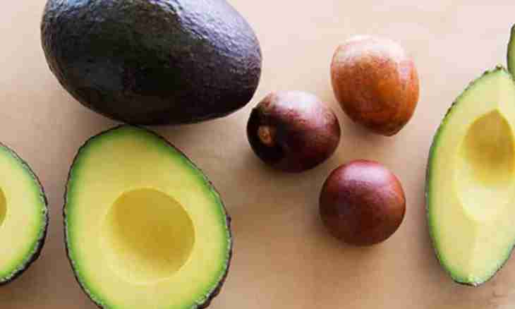 How to use a stone from avocado
