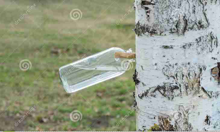 What advantage of birch sap for a human body