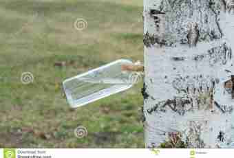 What advantage of birch sap for a human body