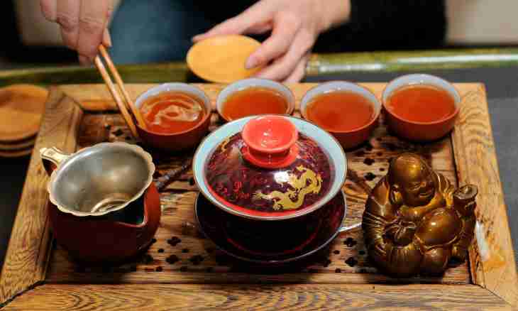 Point of the Chinese tea ceremony of Kung fu of Cha