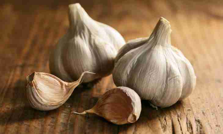 Advantage of garlic