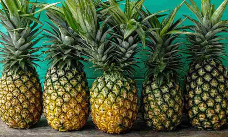 Why from pineapple shchipt language and a mouth