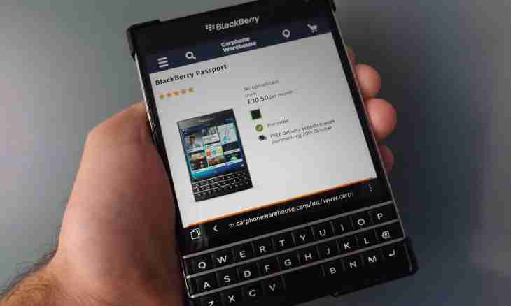 What can be prepared from blackberry?
