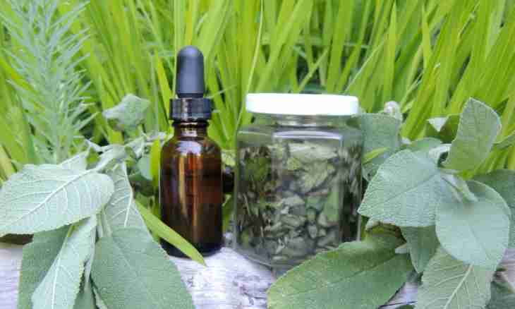 How to make ginseng tincture