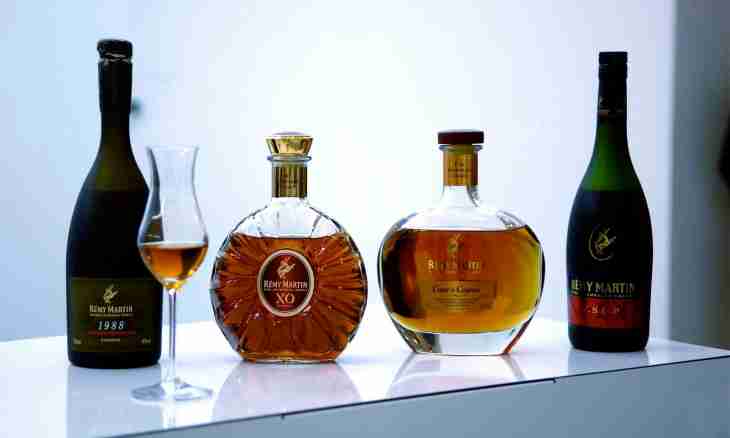 Review of cognacs of the Raymond brand