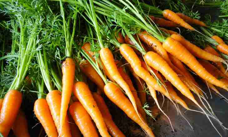 What grade of carrots it is better to buy for long-term storage