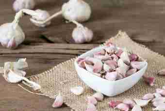 Useful properties of garlic