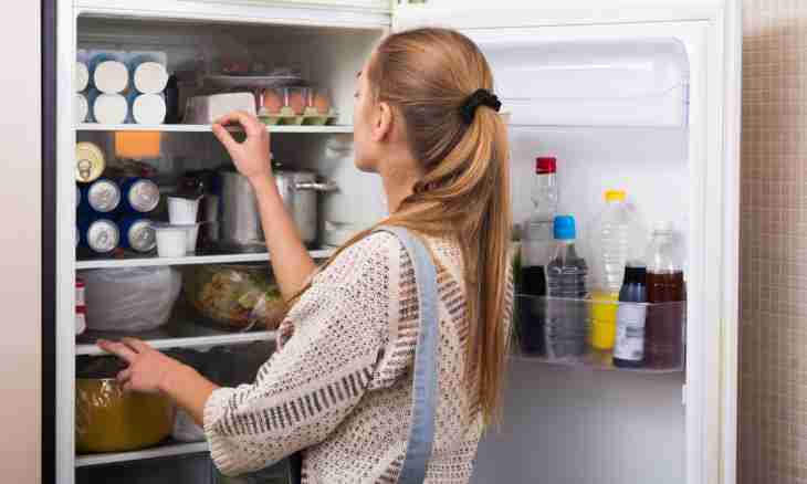 How many watts are consumed by the fridge in day