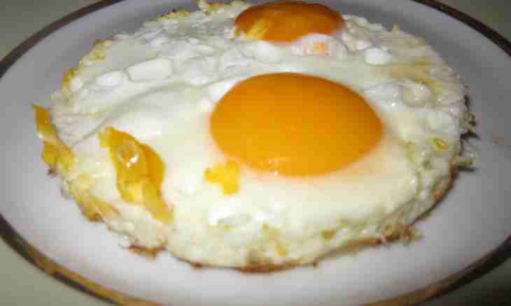 Rules of preparation of fried eggs