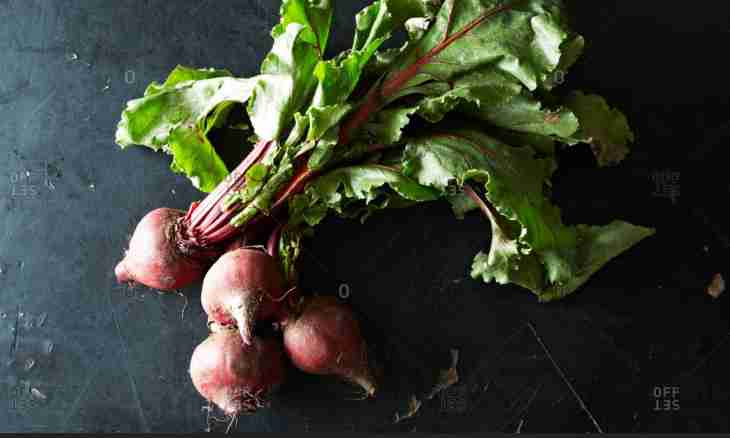 How many to cook beet until ready
