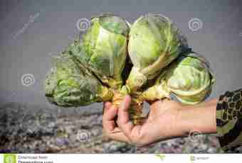 How many to hold oppression on cabbage