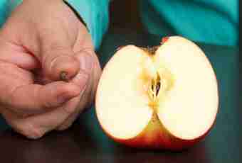 How to process apples from parasites