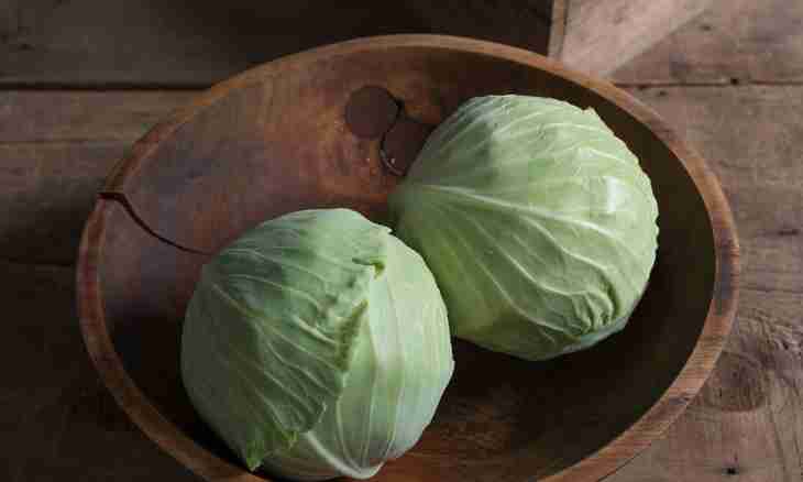 Whether it is possible to salt cabbage to the decreasing moon