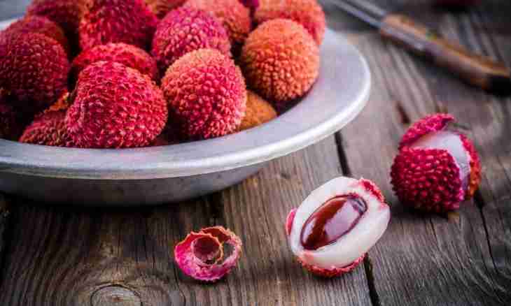 What useful properties at lychee fruit