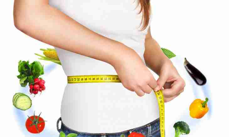 How to eat properly not to gain excess weight, to lose weight and not to render load of an organism