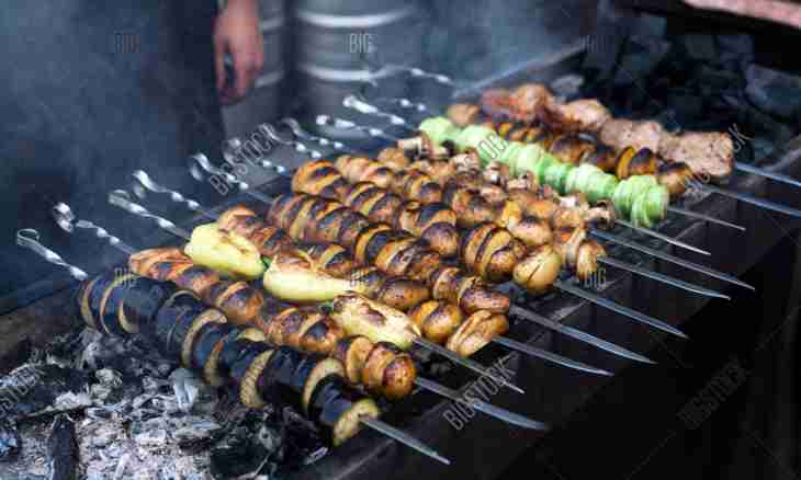 How to prepare a juicy shish kebab on a picnic