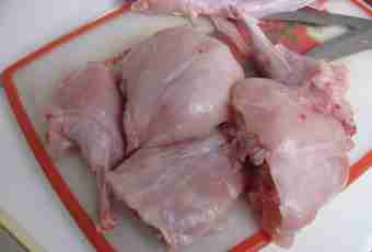 How to cut a carcass of a rabbit