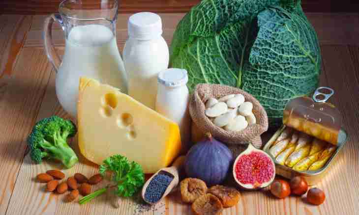 TOP-10 products with calcium