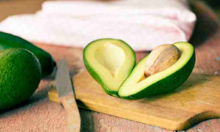Useful properties of avocado