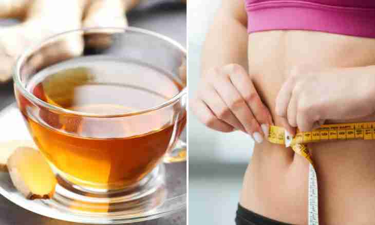 What herbs help to lose weight