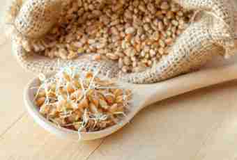 How to use a sprouted wheat