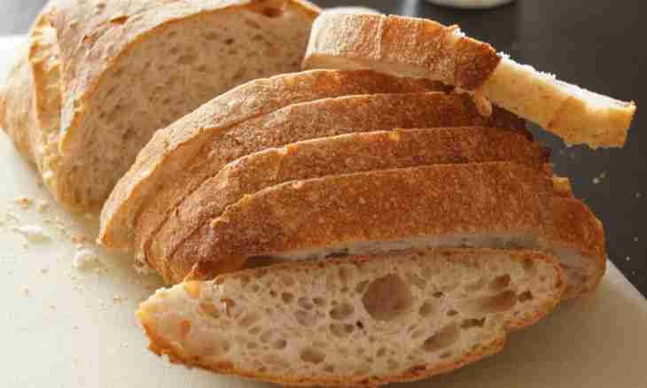 How to make fresh bread