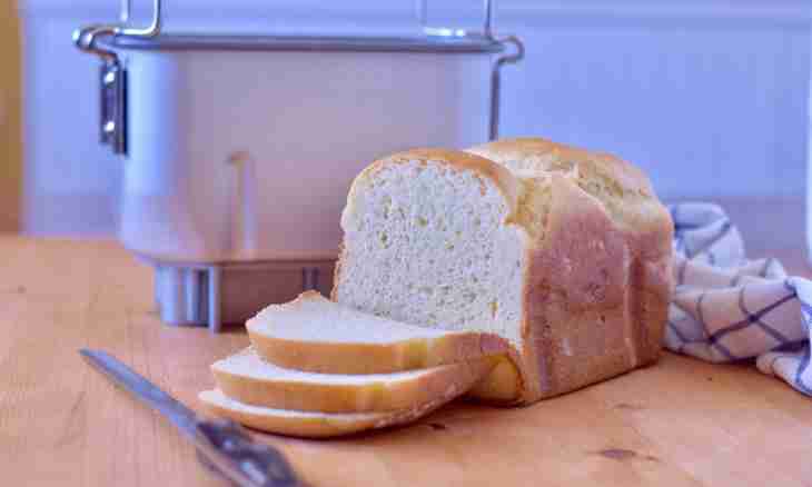How to make various home-made bread