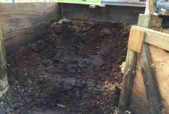 Whether it is possible to throw apples in a compost pit