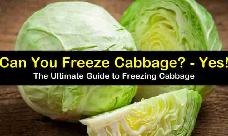 Whether it is possible to make sour cabbage in a plastic bucket