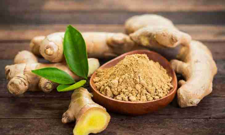 Ginger - useful properties of a fragrant root