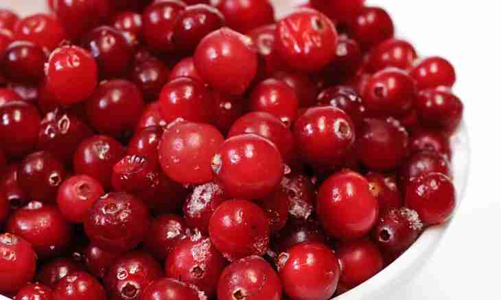 Useful properties and application of cowberry