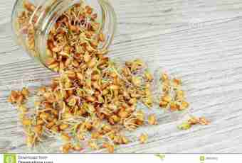 How to use germinated wheat