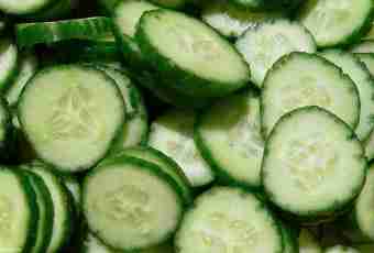 Cucumbers: types and useful properties