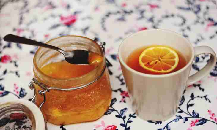 Guelder-rose with honey: recipes for cough