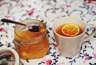 Guelder-rose with honey: recipes for cough