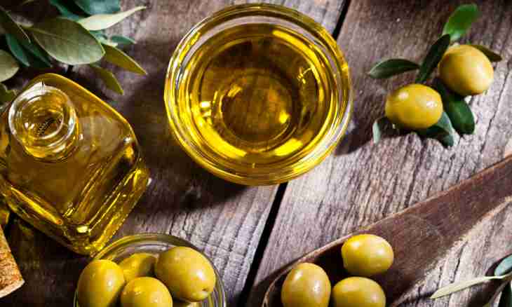 Than olives and olive oil are useful