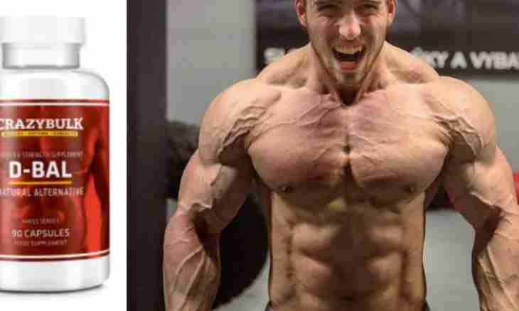 What products are necessary for a set of muscle bulk