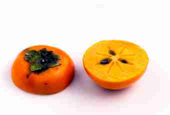 What advantage of persimmon for men