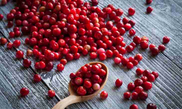 Cranberry — a source of beauty and health