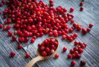 Cranberry — a source of beauty and health