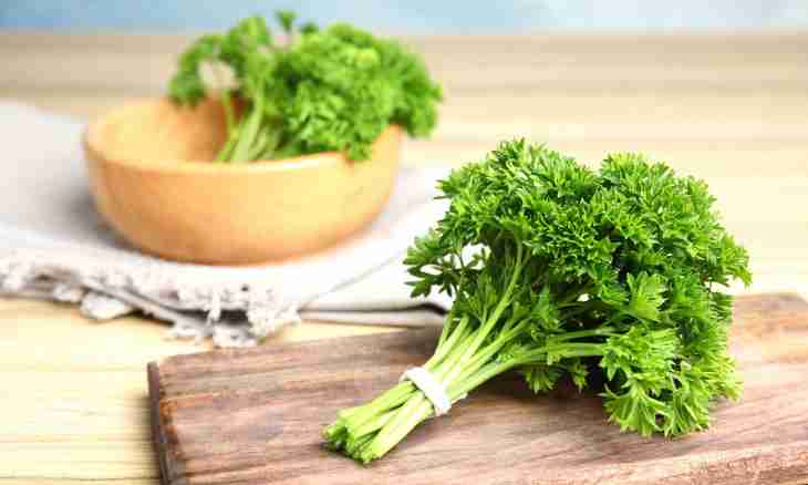 The prima of green vegetables – parsley